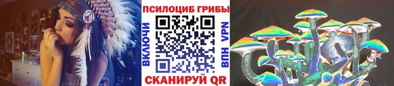 Галлюциногенные грибы Magic Shrooms  Купить  Дагестанские Огни 